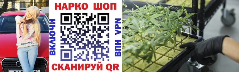 LSD-25 Аргун