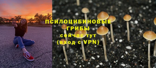 герыч Верхний Тагил
