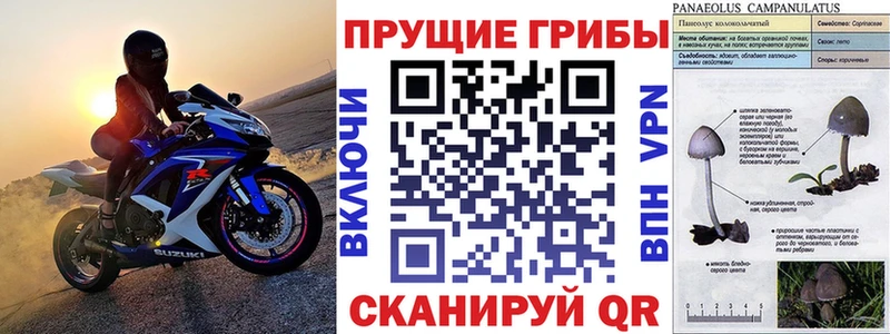 Купить закладки Аргун Псилоцибиновые грибы ЛСД