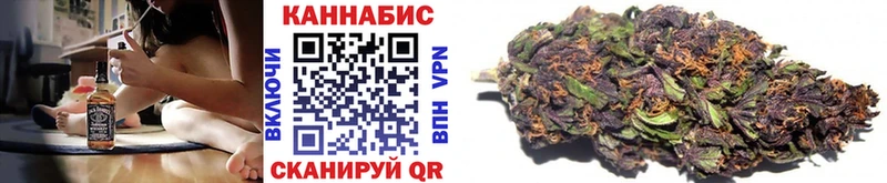 Купить  Аргун  Канабис план 